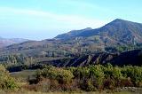 Enduro Appennino Bolognese Nov. 2008 - 11